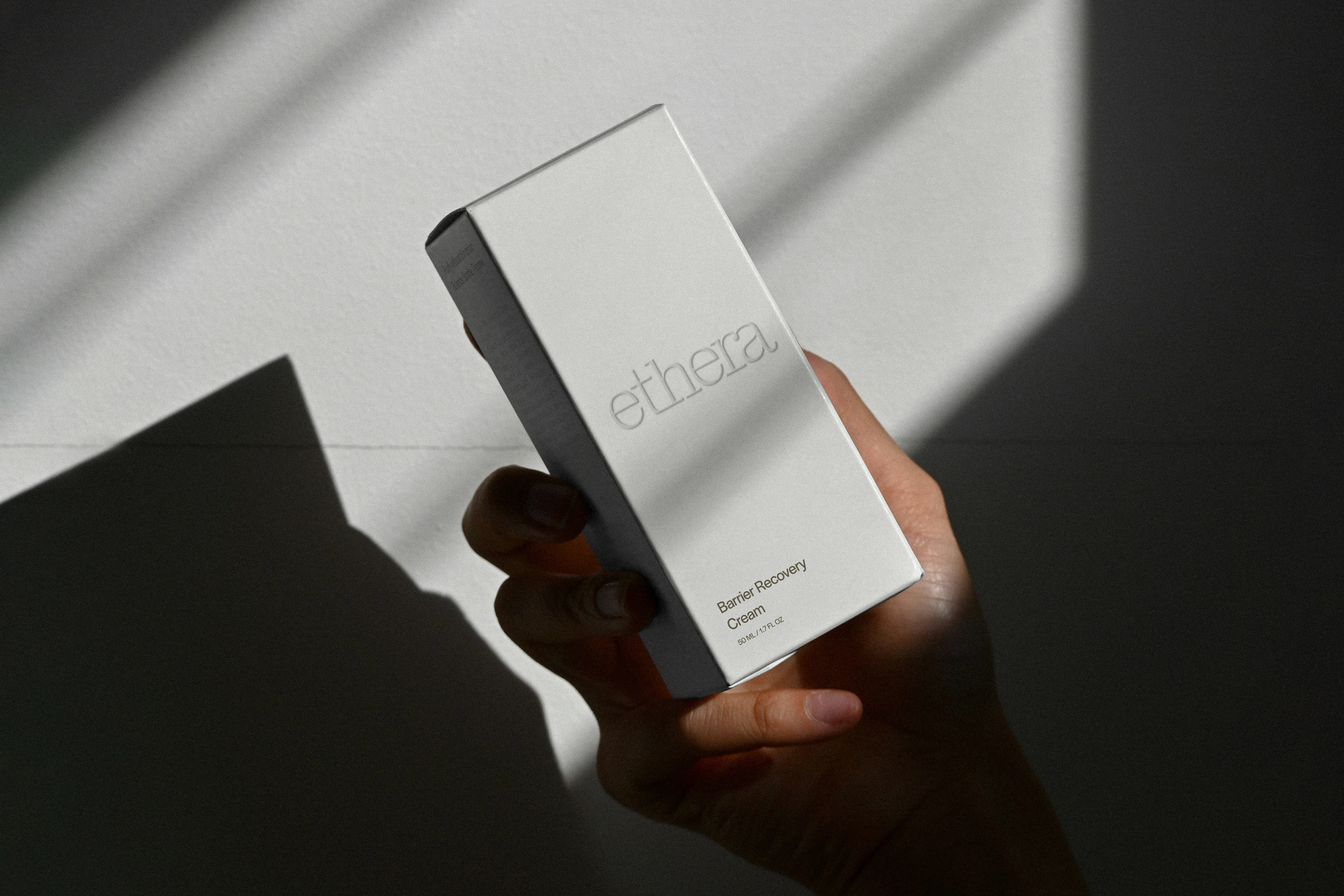Ethera project showcase 7