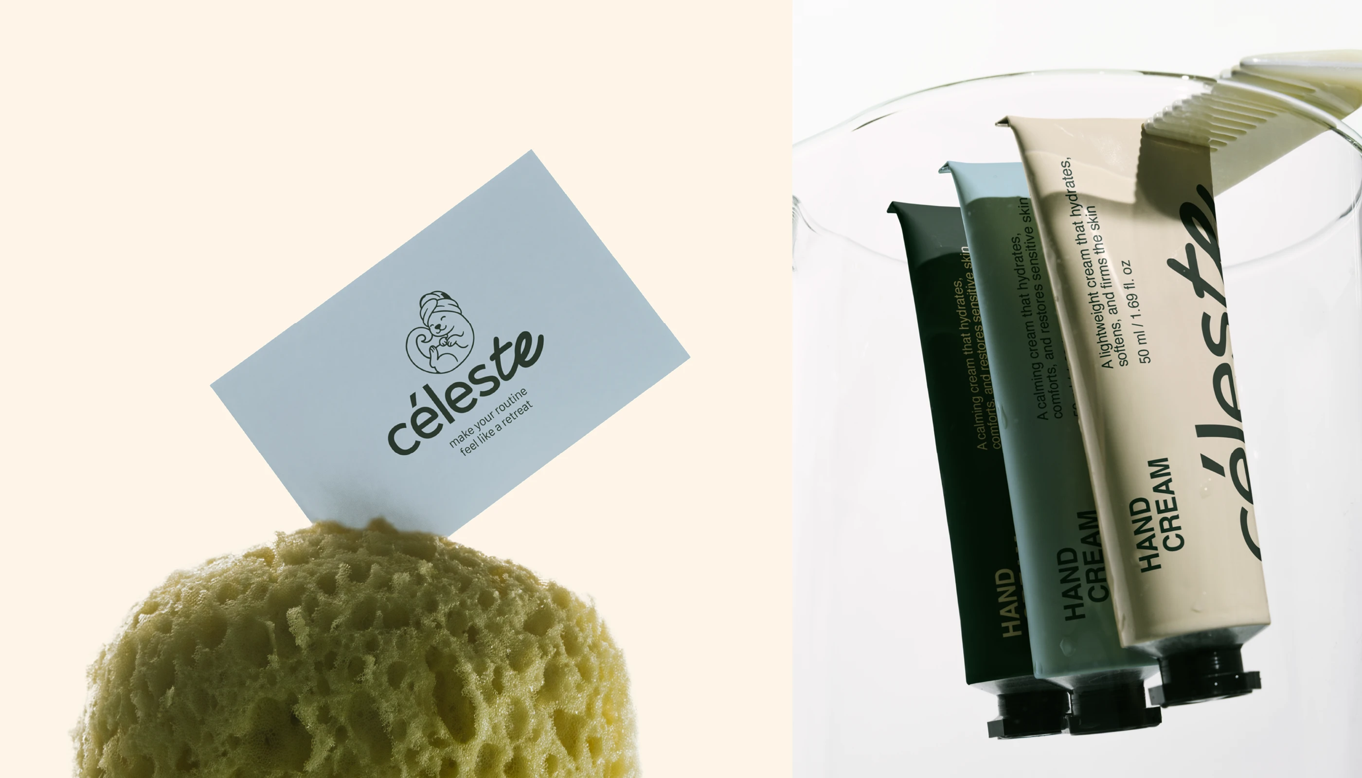 Céleste project showcase 12